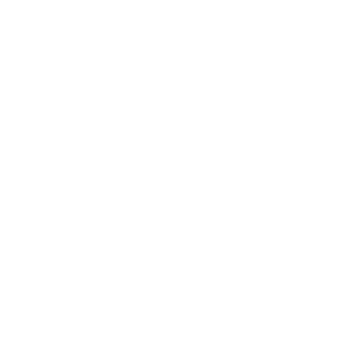Woo logo - innovative løsninger til eCommerce og online butikker